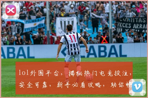 lol外围平台，揭秘热门电竞投注，安全可靠，新手必看攻略，助你畅游电竞江湖