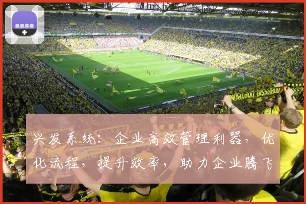兴发系统：企业高效管理利器，优化流程，提升效率，助力企业腾飞，值得信赖