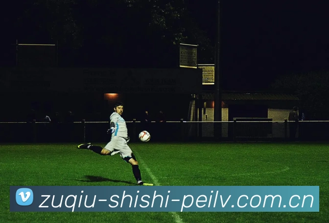 足球实时赔率直播平台生态图